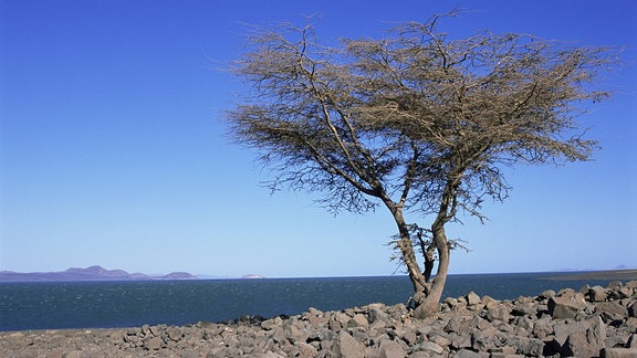 Bild 4 Kenia