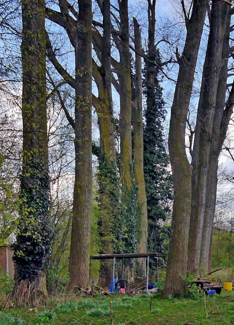 Bild 002