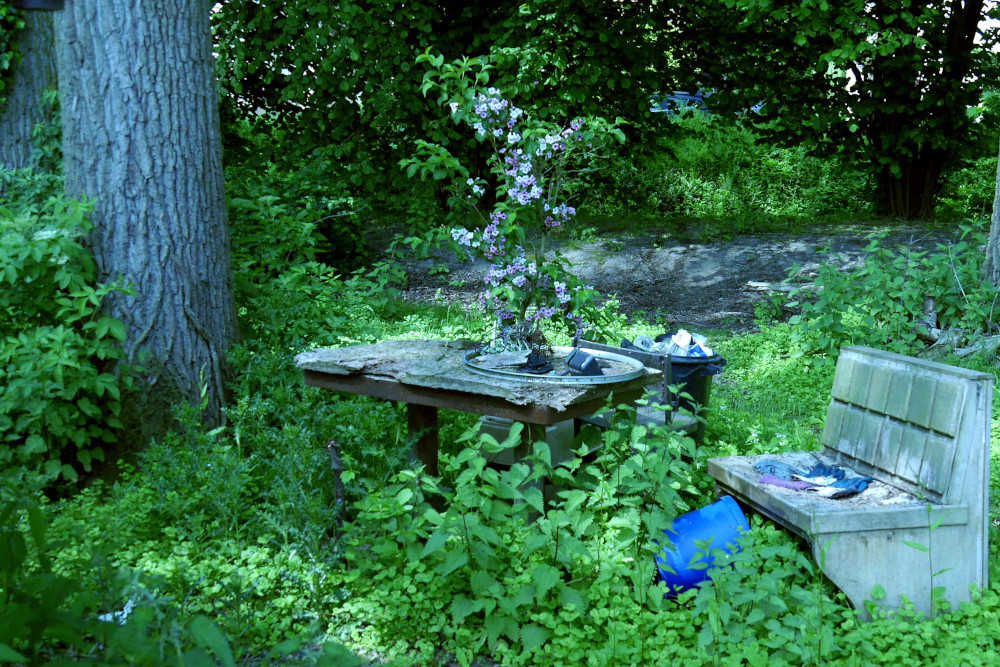Bild 005